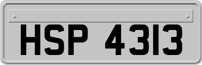 HSP4313