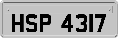 HSP4317