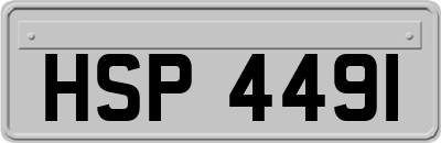 HSP4491