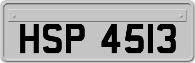 HSP4513