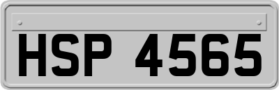 HSP4565
