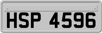 HSP4596