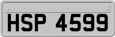 HSP4599