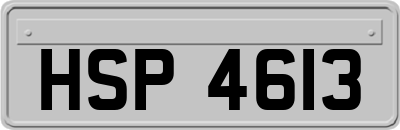HSP4613