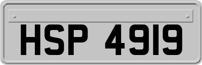 HSP4919