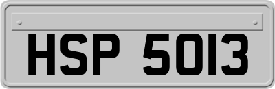 HSP5013