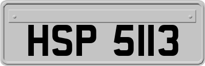 HSP5113