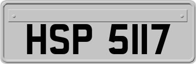 HSP5117