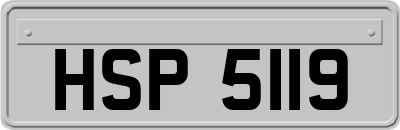 HSP5119