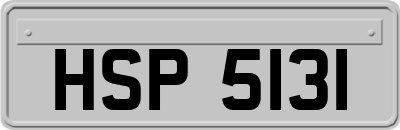 HSP5131