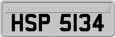 HSP5134
