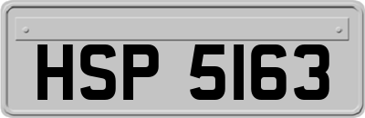 HSP5163