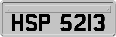HSP5213