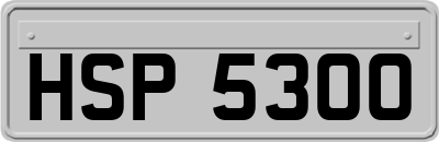 HSP5300