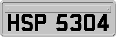 HSP5304