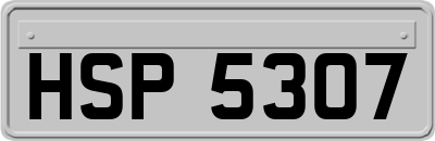 HSP5307