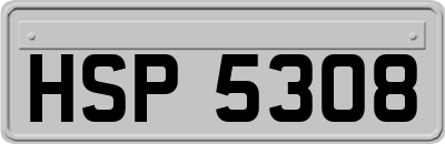 HSP5308