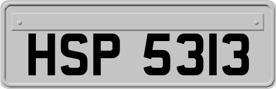 HSP5313
