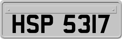 HSP5317