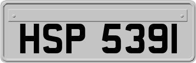 HSP5391