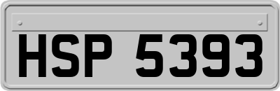 HSP5393