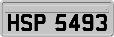 HSP5493