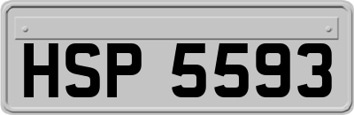 HSP5593