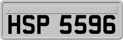 HSP5596