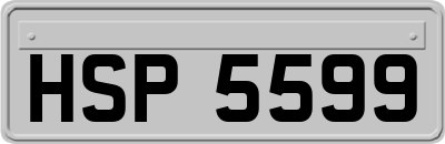 HSP5599
