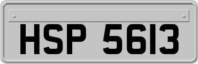 HSP5613