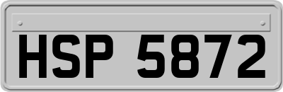 HSP5872