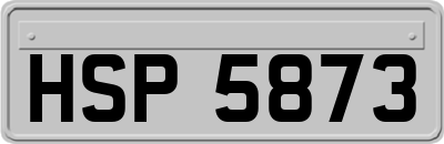 HSP5873