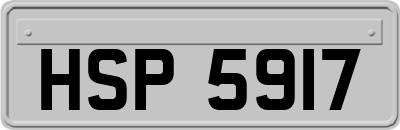 HSP5917