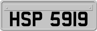 HSP5919