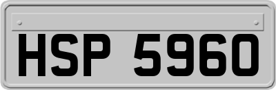 HSP5960
