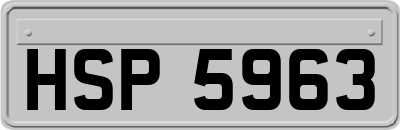 HSP5963