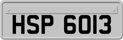 HSP6013