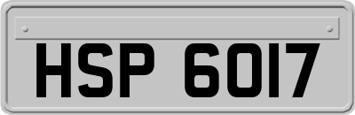 HSP6017