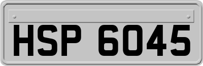 HSP6045