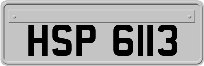 HSP6113