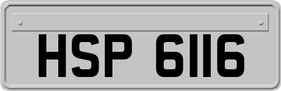 HSP6116