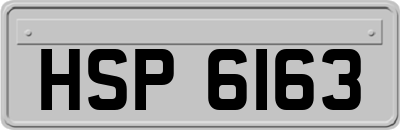 HSP6163