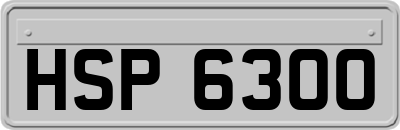 HSP6300