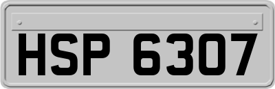 HSP6307