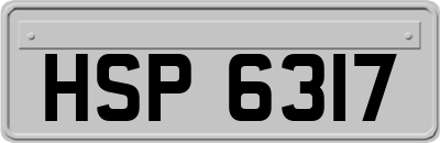 HSP6317