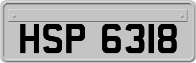 HSP6318