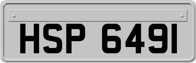 HSP6491