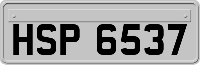 HSP6537