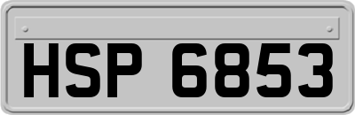 HSP6853
