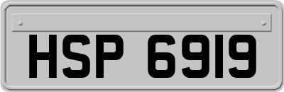 HSP6919